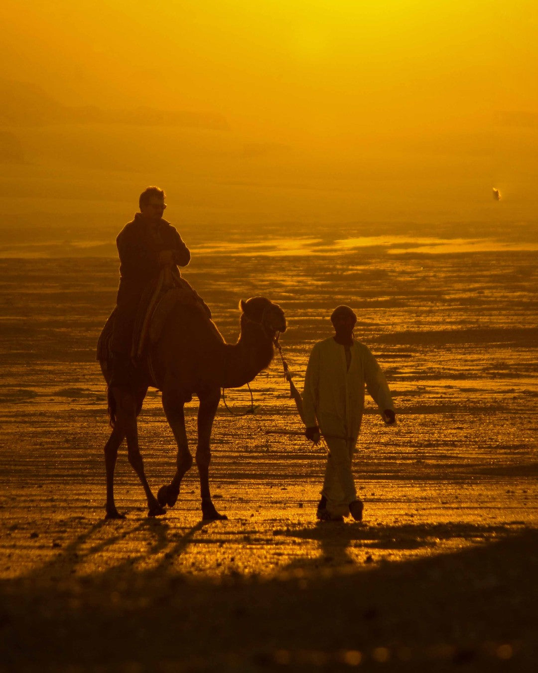 Desert convoy crossing sand dunes near Cairo, Egypt