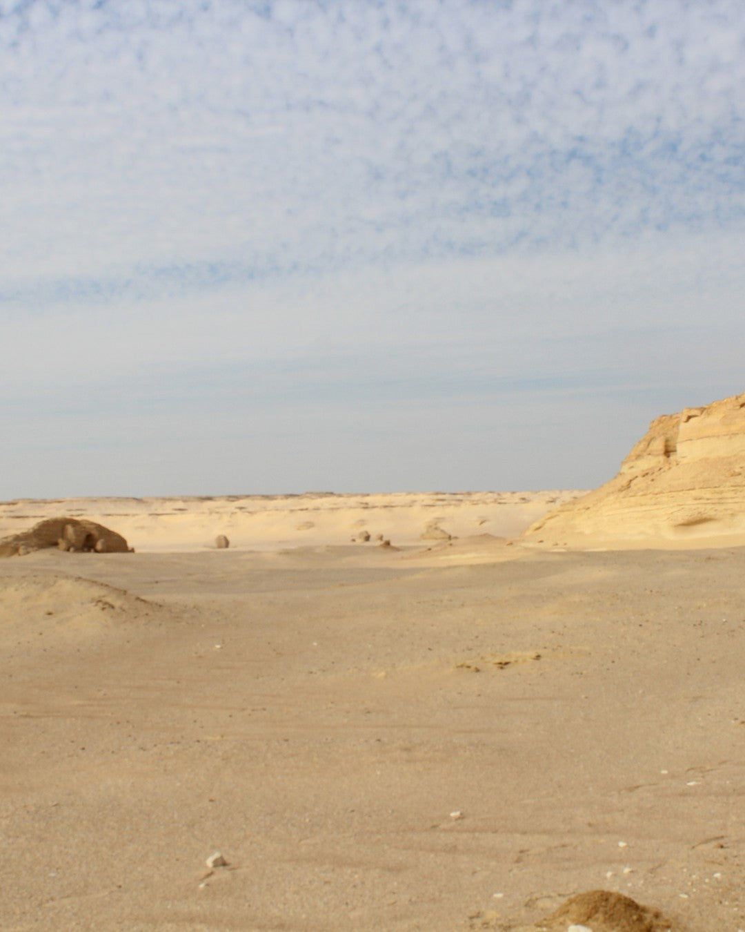 BBQ lunch stop on Fayoum desert day trip