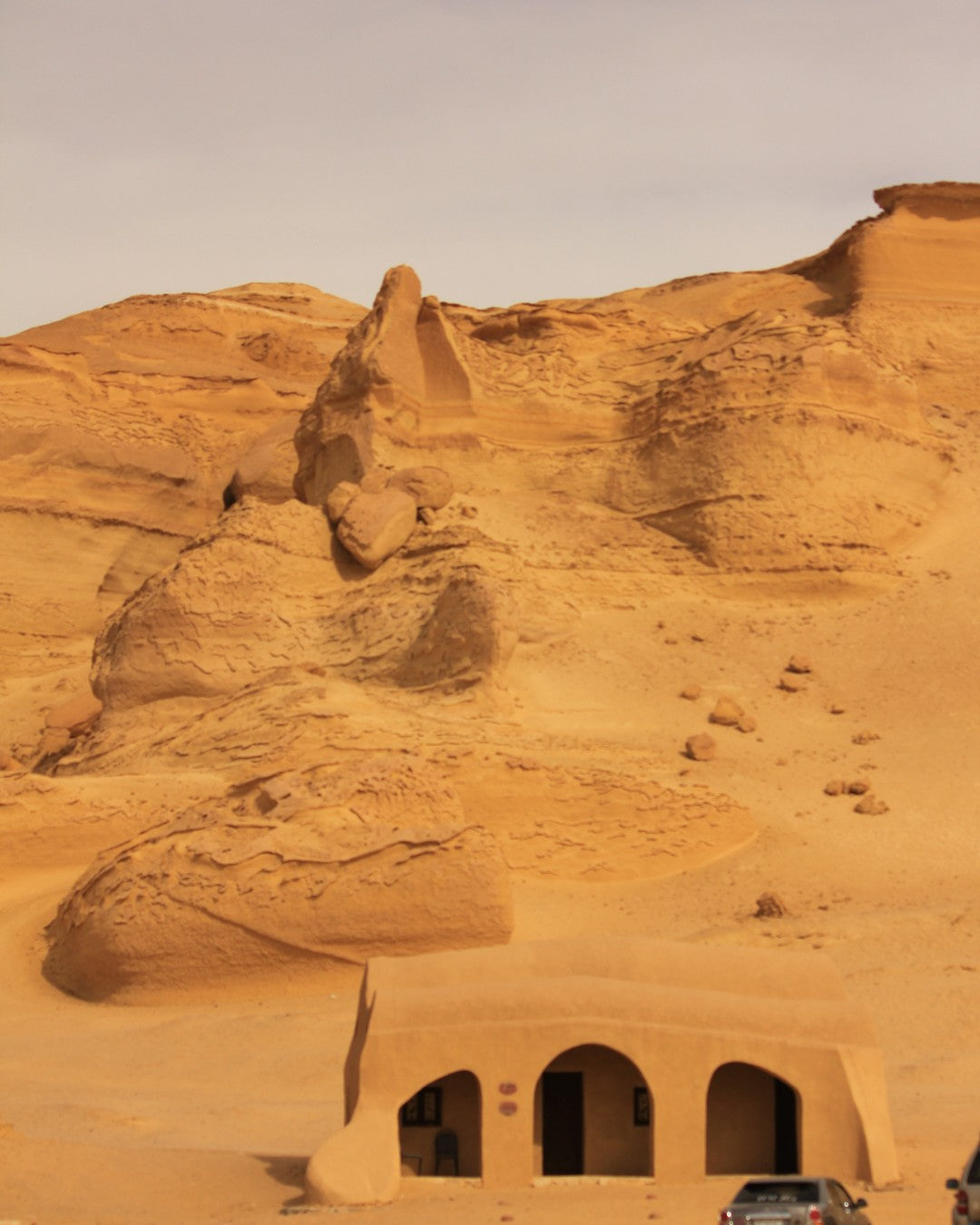 Whale fossil skeleton, Wadi El Hitan UNESCO site, Egypt
