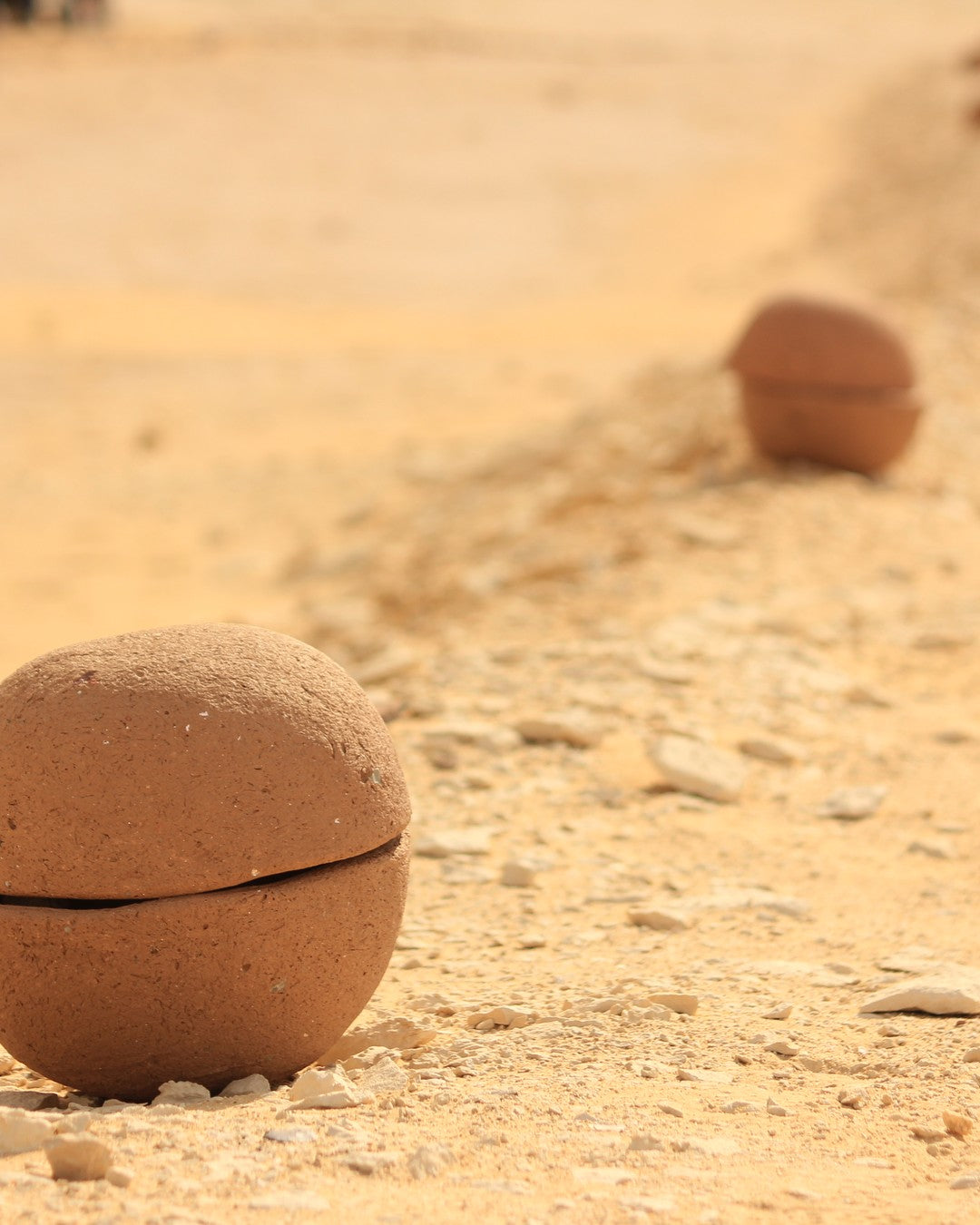 Traveler sandboarding, Fayoum dunes, Egypt