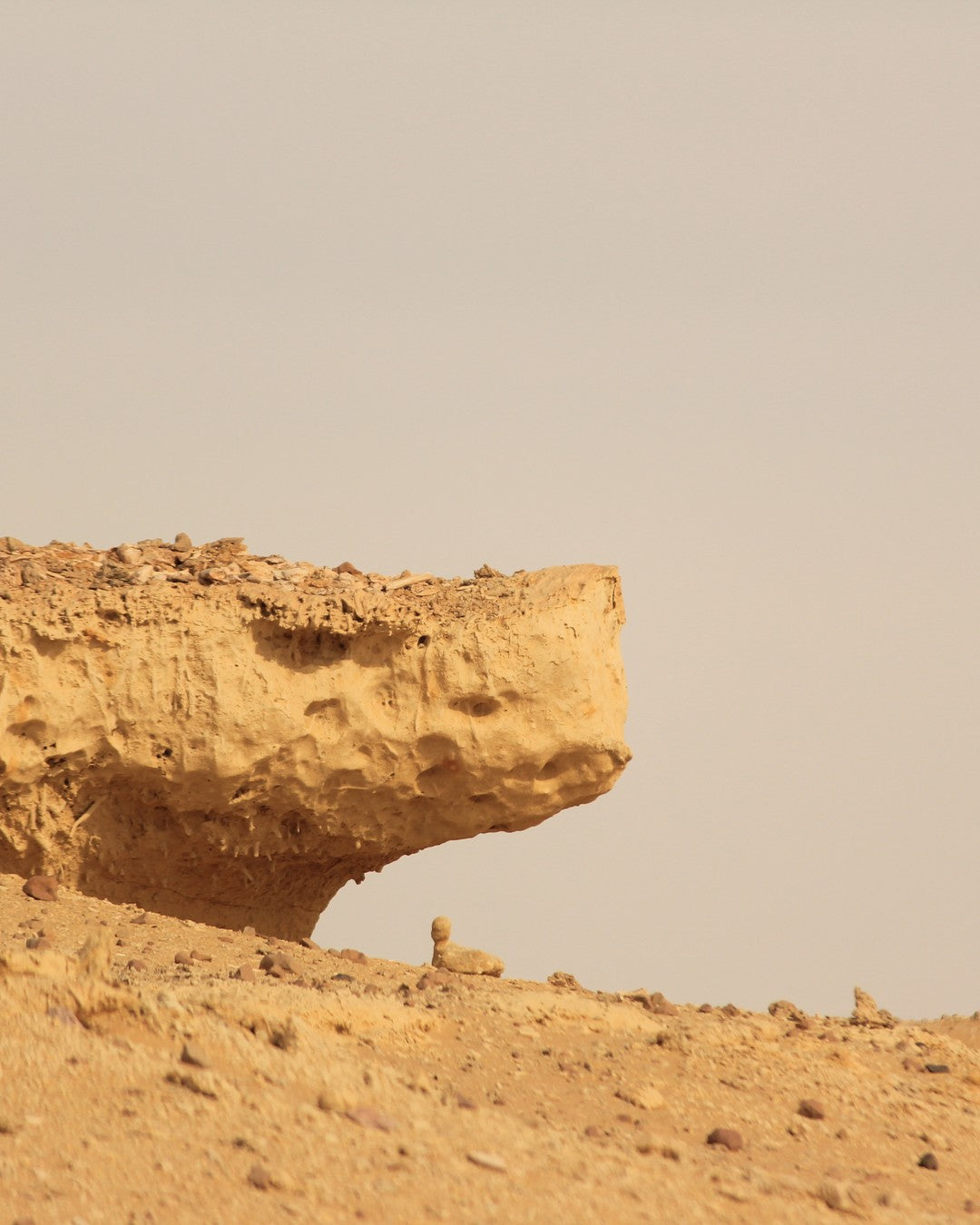 Group photo, Wadi El Hitan day tour, Dune Raider Adventure