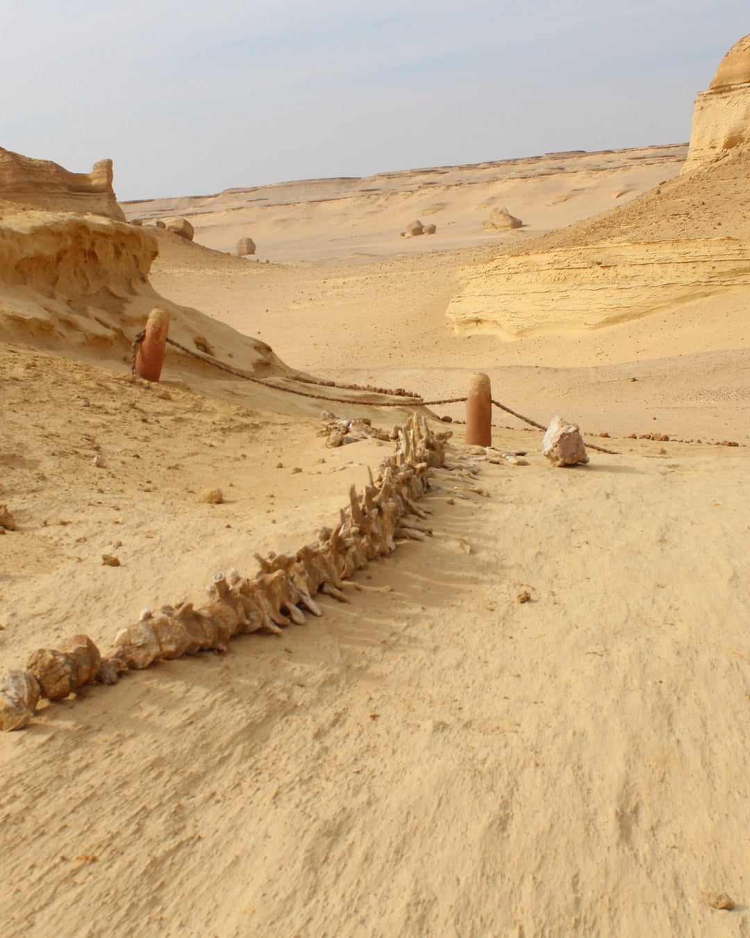 Farafra oasis hot spring, Western Desert, Egypt