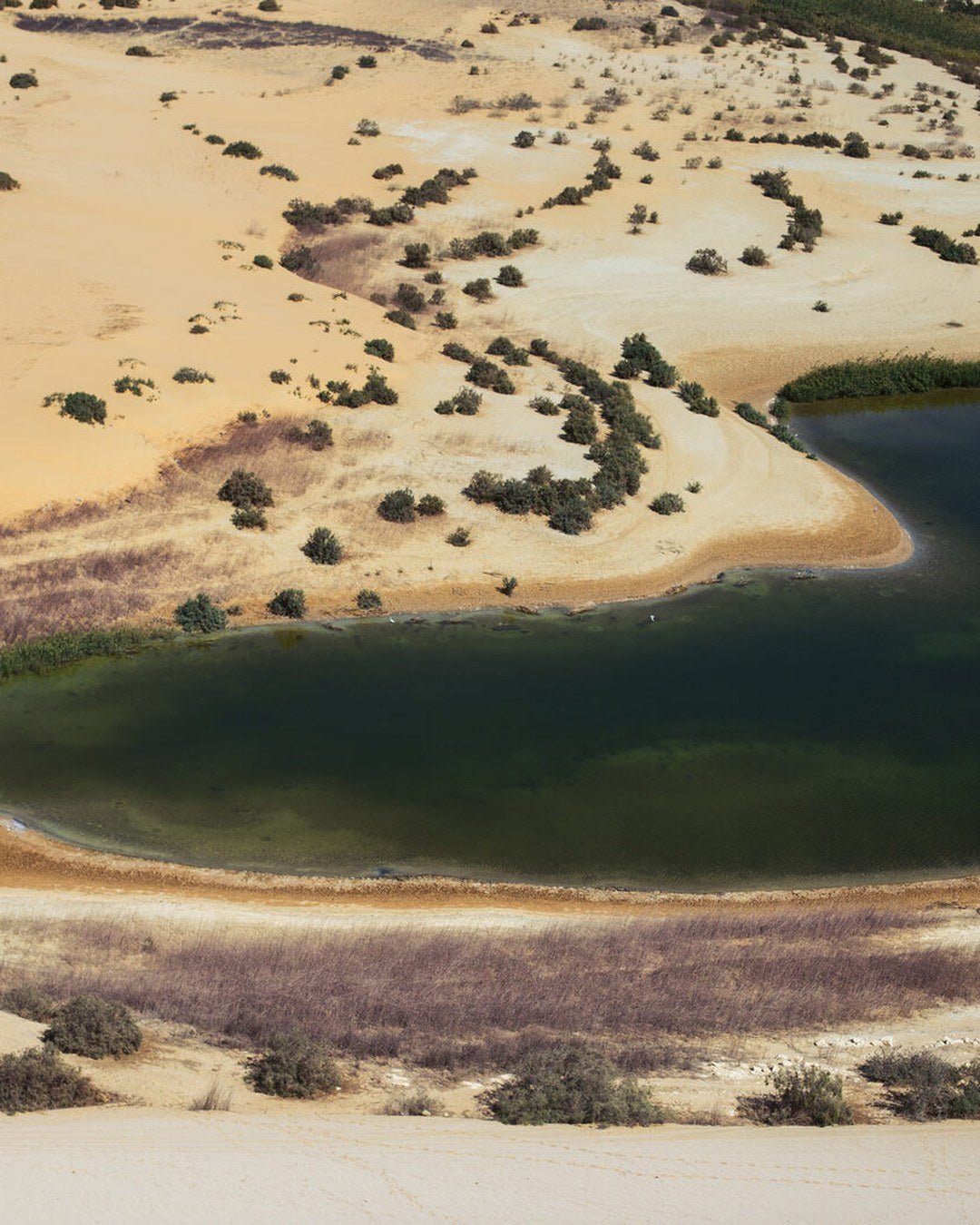 Sandboarding at Magic Lake, 2-day Fayoum camping tour